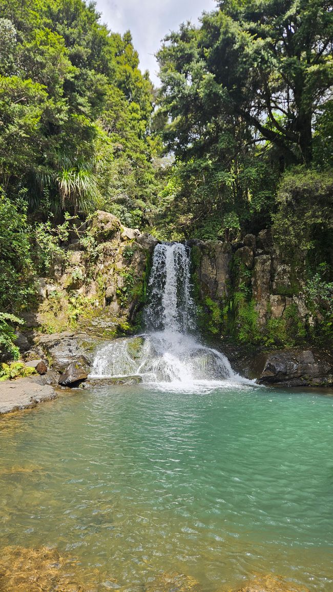 Hahei - The 309 Road - Coromandel