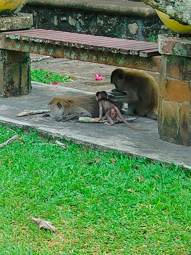 Ipoh