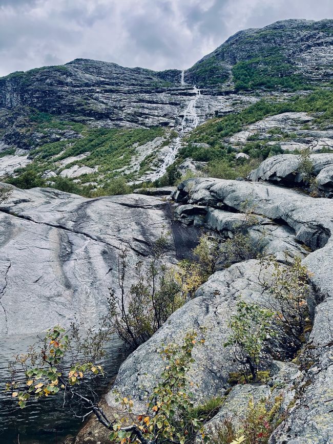Nigardsbreen - la glace éternelle (?)