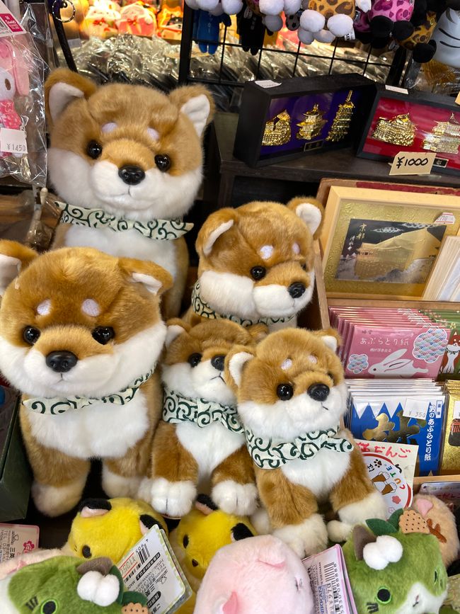 Plüsch-Shibas