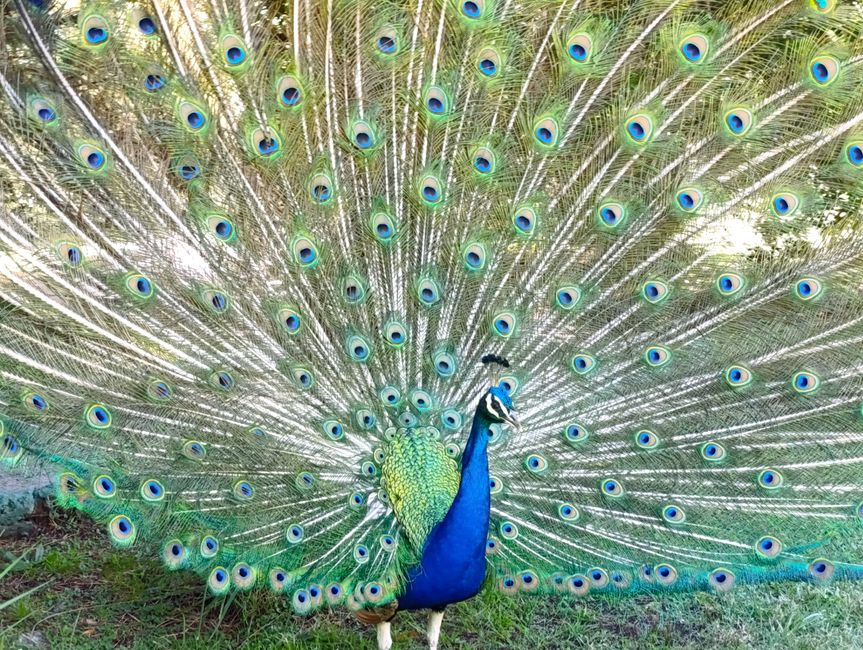 Tandil (gennaio_2024)