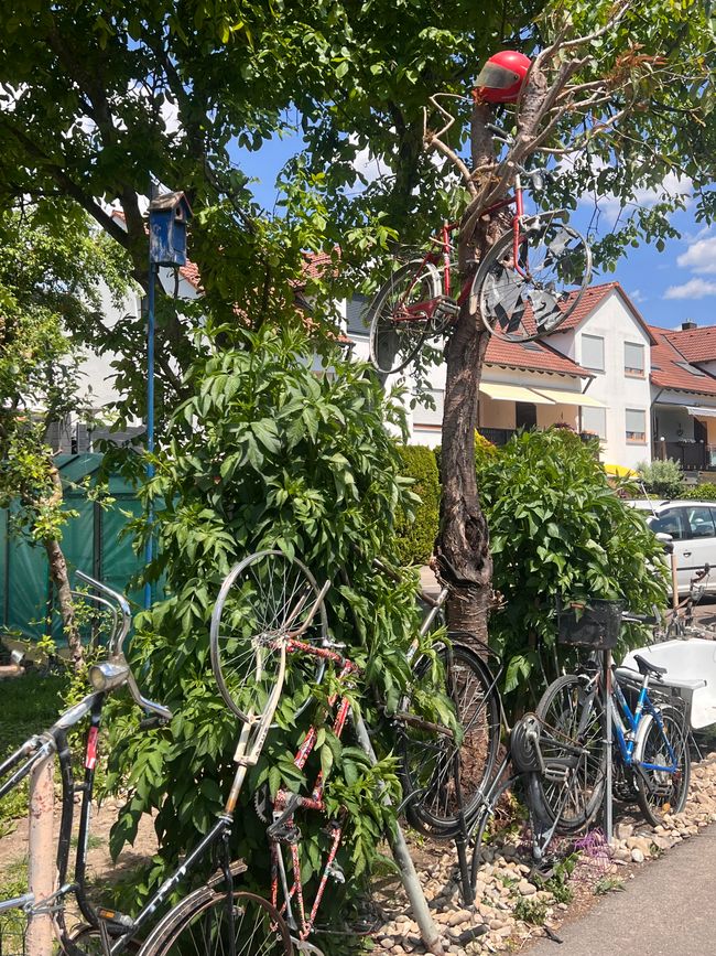 22 nach Ulm