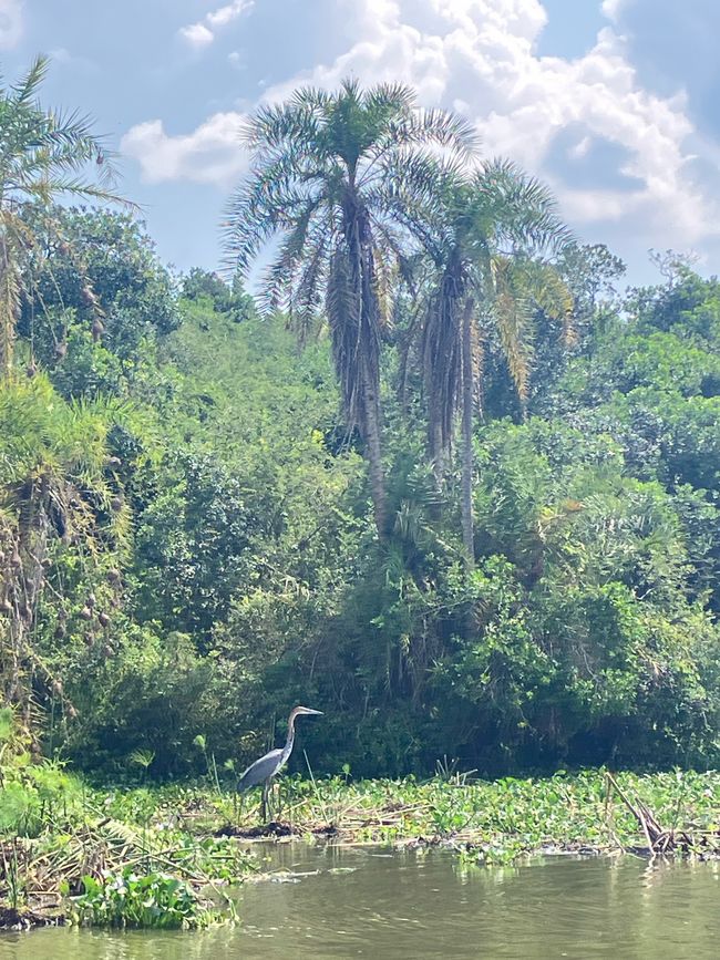 Queen Elizabeth Nationalpark