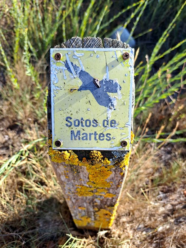 Sotos de Martes - Feuchtwiesen am Aragon