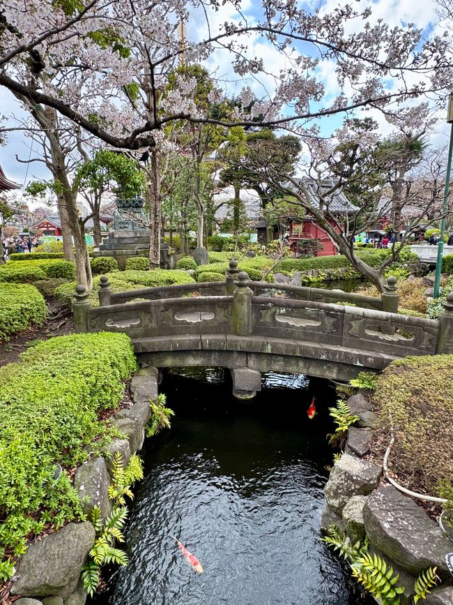 Parte 7
BENVENUTO IN GIAPPONE 🇯🇵
TOKYO