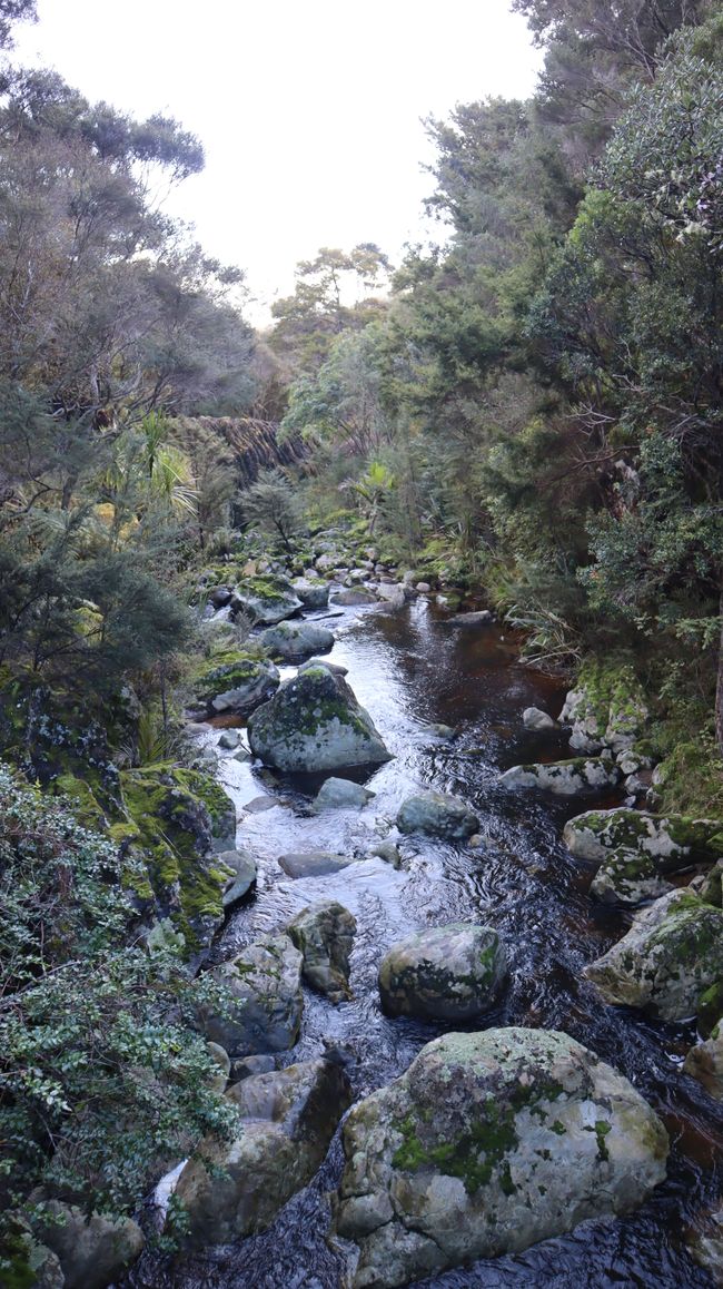 Wairere Boulders Nature Reserve