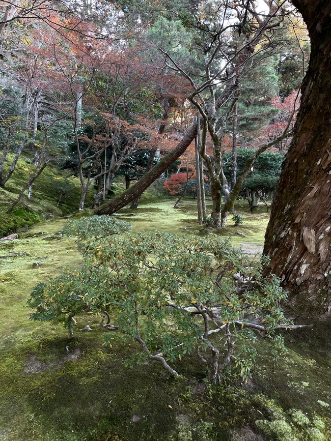 34. et dernier chapitre, dernières flâneries et dernières images