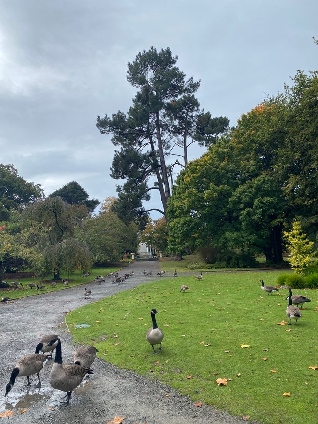 Lets do some Sightseeing