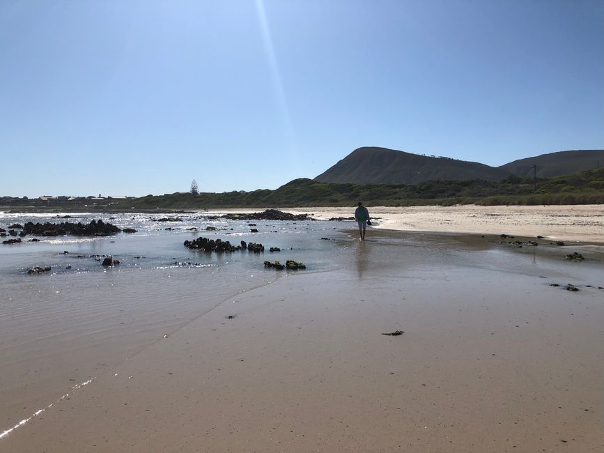 Am Strand von Franskraal Muscheln sammeln