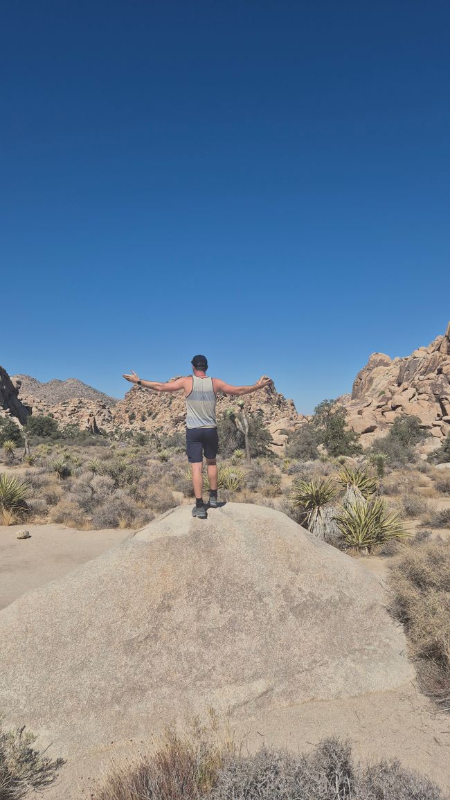 26.09. Joshua Tree Park