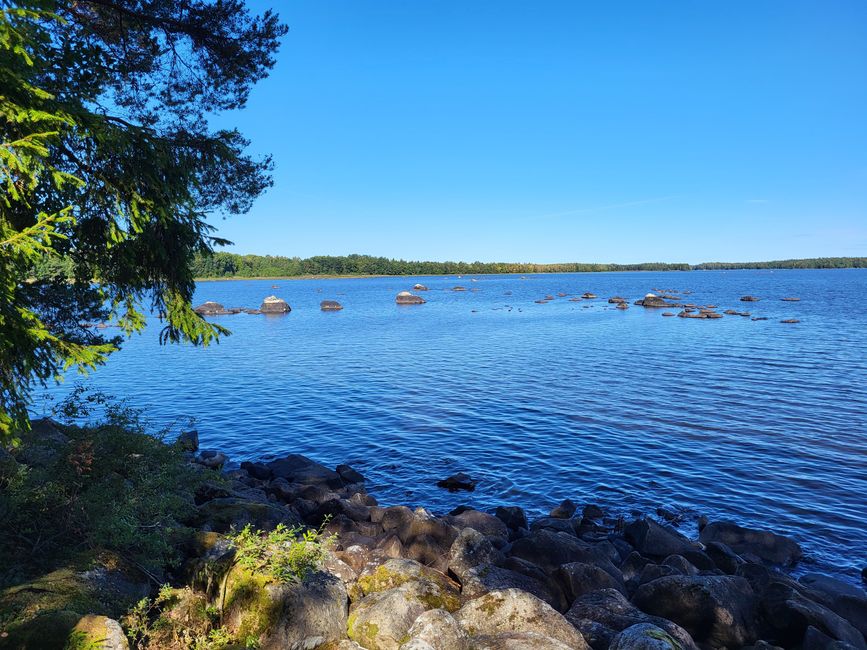 Sentier Toftåsa Moor - Parc national d'Åsnen