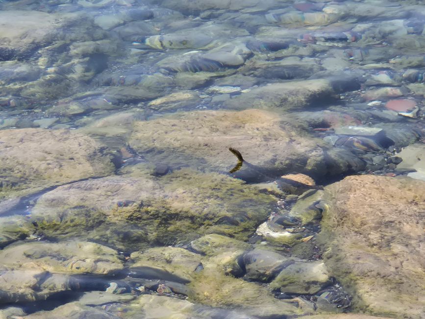Lac d'Ohrid Macédoine du Nord