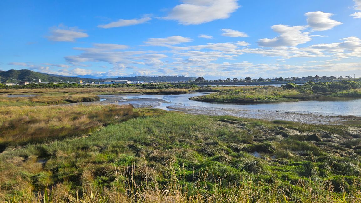 Charleston - Punakaiki - Greymouth - Arthur's Pass