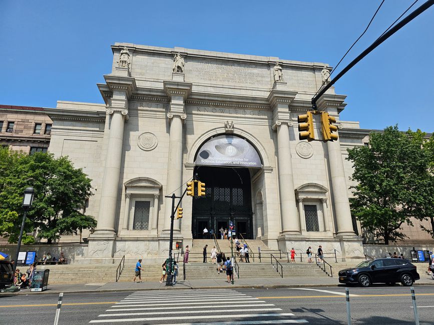 Museum of Natural History ('Night at the Museum')