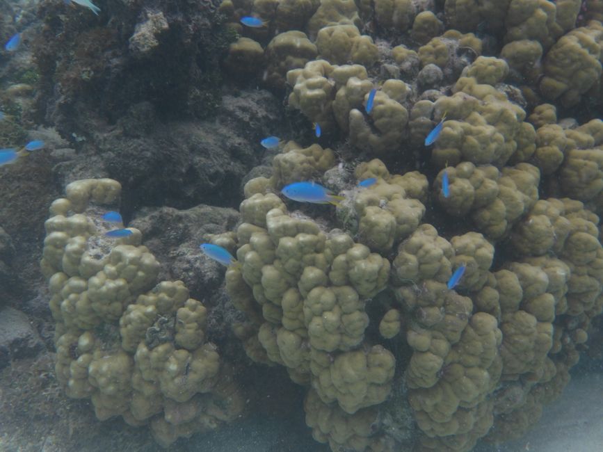 2025-04-23 Tahiti und Huahine