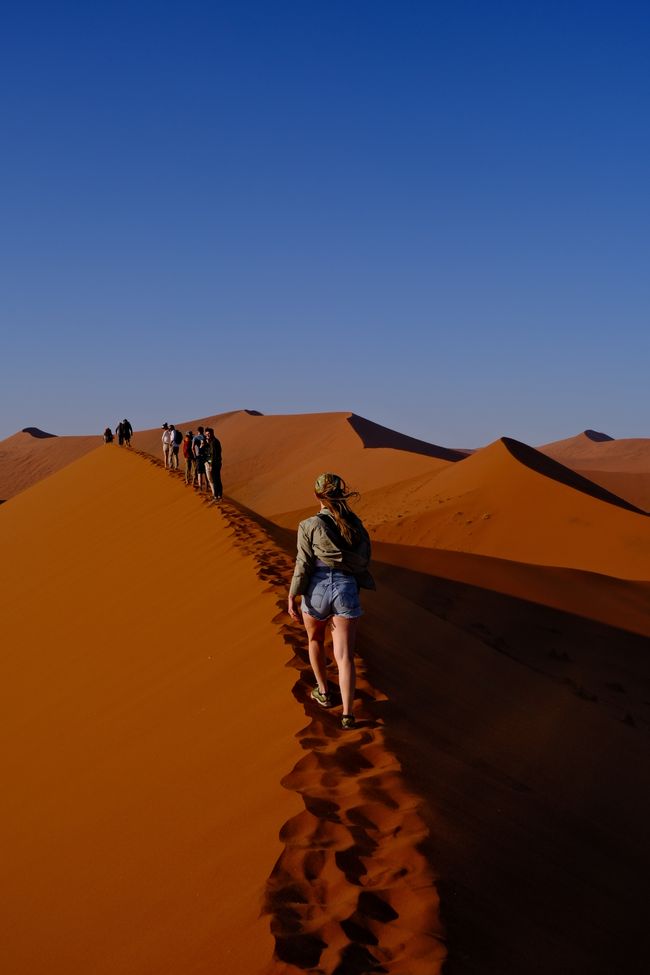 Desierto de Namibia 🏜️