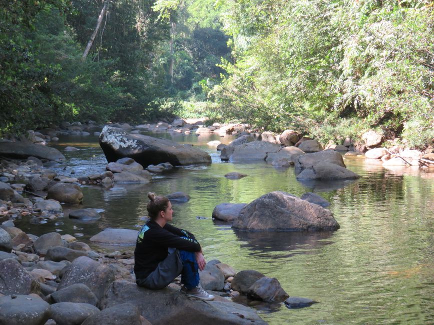 Sinharaja - l'ultima foresta pluviale dello Sri Lanka