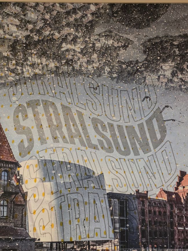 Stralsund & Darß: Meeres-Magie und die 5-km-Wander-Überraschung 🌊🐢❄️