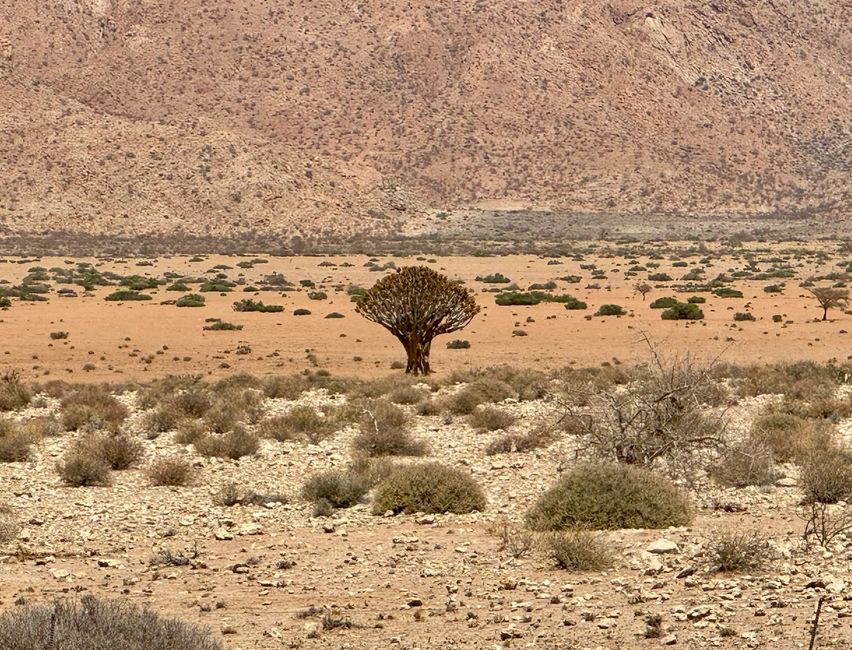 De Windhoek al Parque Nacional Namib Naukluft