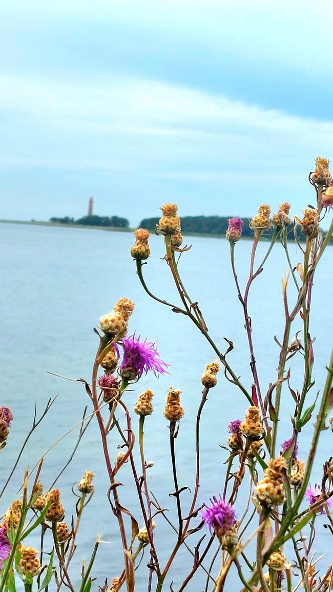 Fehmarn