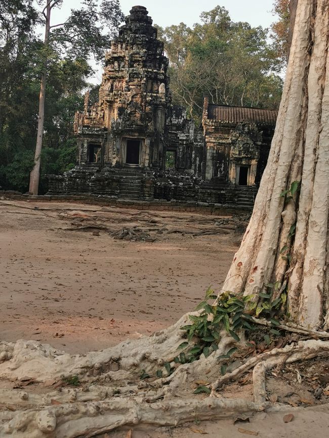 Auf Tempeltour in Siem Reap (Reload)