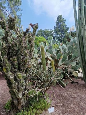 Valencia Stadt und Botanischer Garten