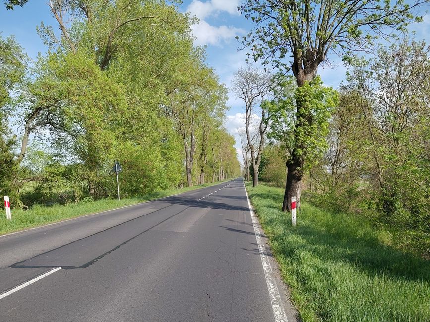 Grade Straßen kennen wir bereits.