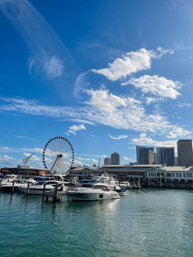 Bienvenue à Miami 1ee1f8