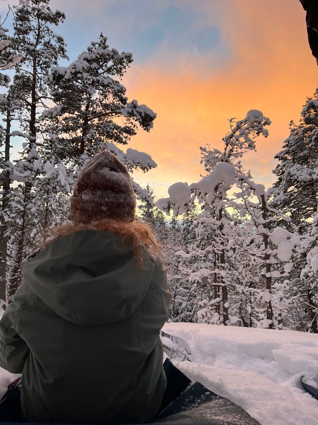 The finnish way