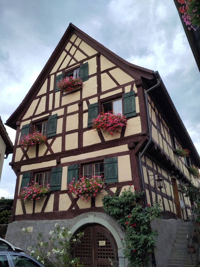 in Sipplingen