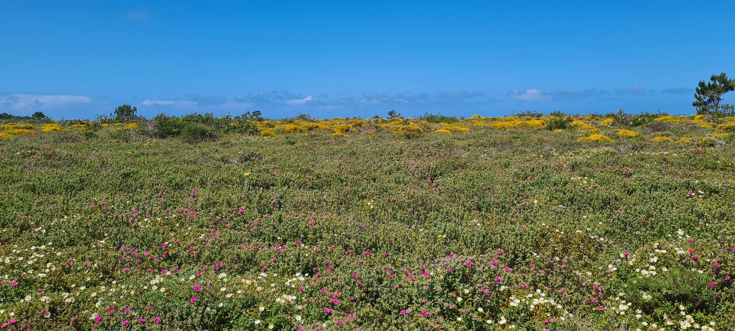 9. Étape Carrapateira - Vila do Bispo