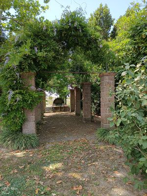 Tuscania und Wein
Mein Schiff Relax
11. Juni - 20. Juni 2025