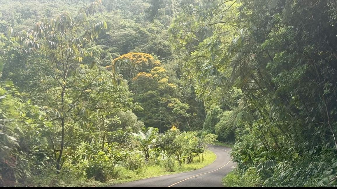 在巴拿马的旅程