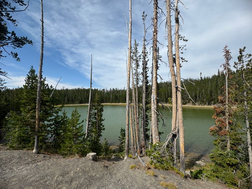 Yellowstone National Park