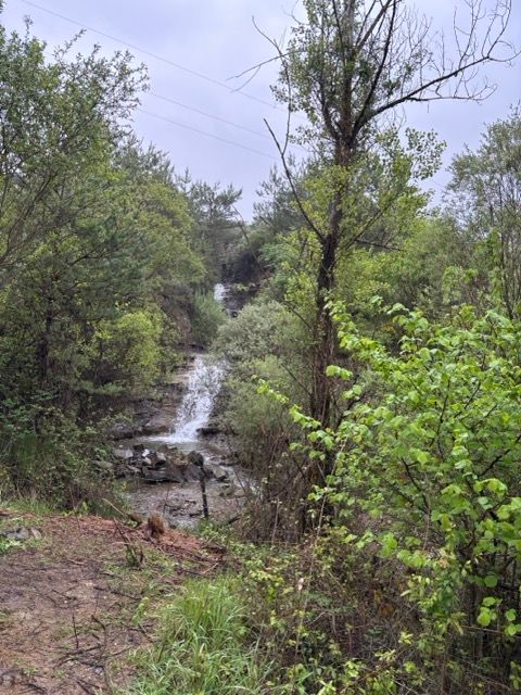 5. Tag
Zubiri - Arre/Vilava