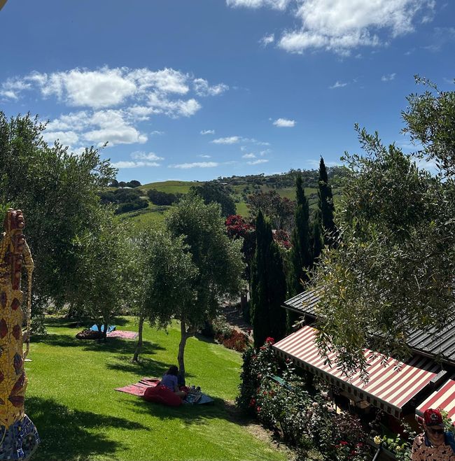 Weinprobe **Plan for Monday** Auckland - Waiheke - Auckland🍷🍇