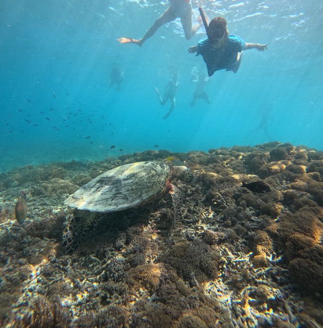 Gili Trawangan
