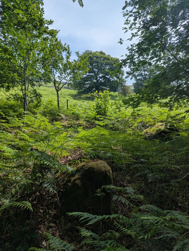 Wandern im Peak Distrikt