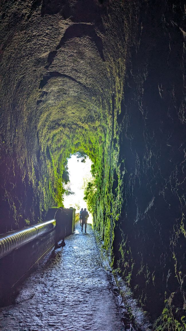 Tag 10: Levada das 25 Fontes und Risco & Feenwald