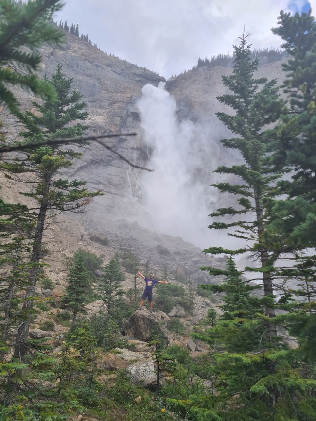 Canmore (Yoho) - Bears and Waterfalls