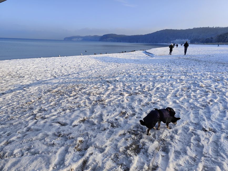 Göhren auf Rügen - heute ist es nicht so lausig kalt am Strand 😅😊