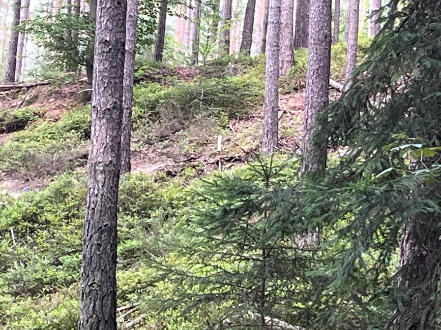 Bogenparcours Abenberg