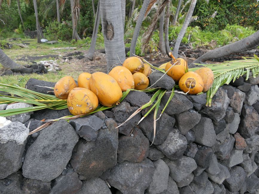 Fruits and vegetables in Hawaii (a small selection we saw)