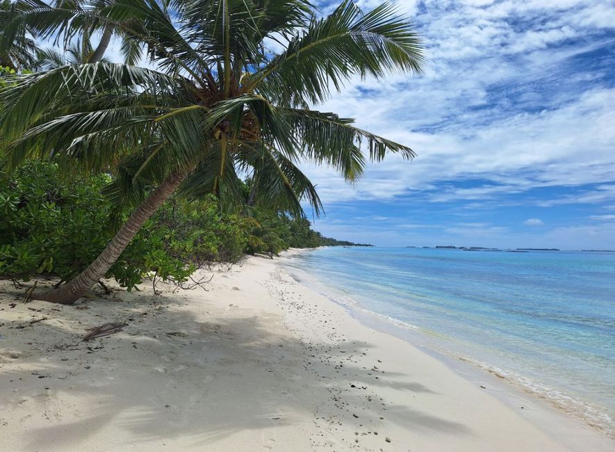 10 Días en Thundufushi - Un Viaje a Través de Aguas Azules, Jardines de Coral y Momentos de Quietud