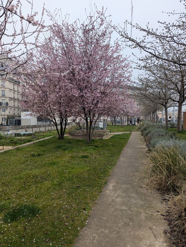 Paris, die Stadt der Durchreise