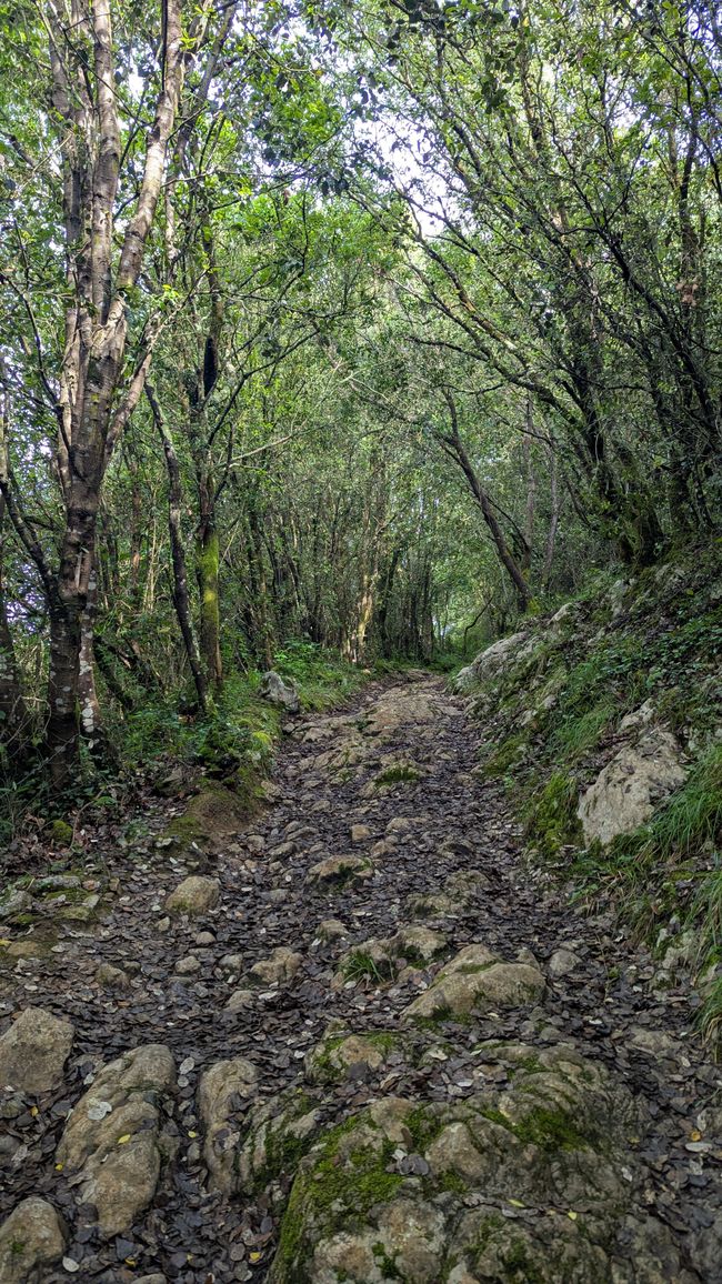 4. Etappe Camino del Norte von Liendo nach Santona