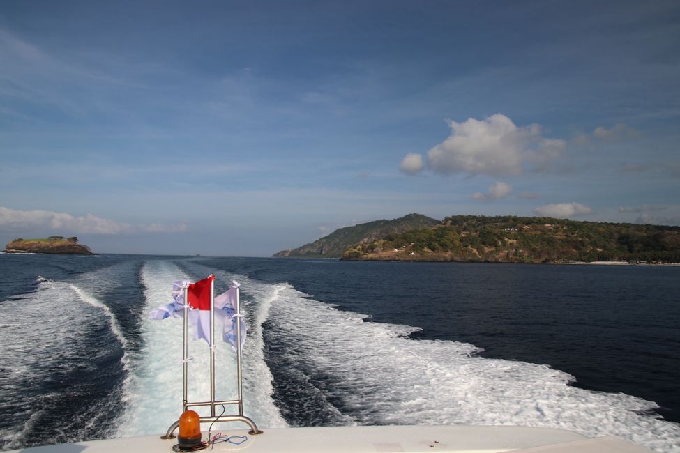 Etiqueta 14: ¡Rumbo a los Gilis!