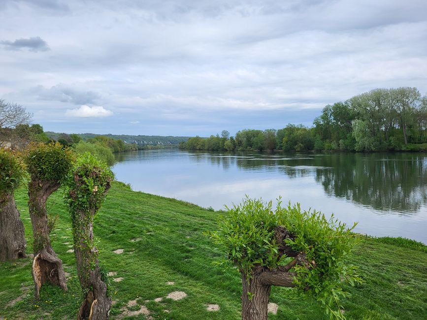 Seine