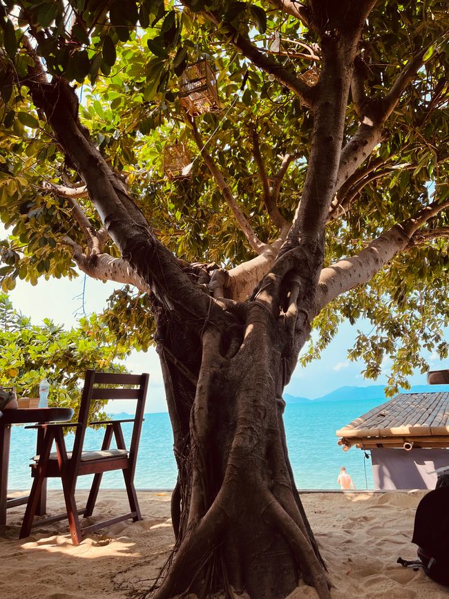 KoSamui