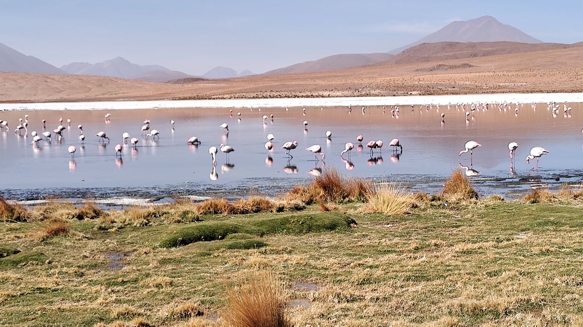 Bolivia, Tour de Lagunas